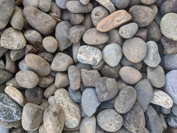 PENDING PICKUP: Free river stone for Sale in Olympia, WA 