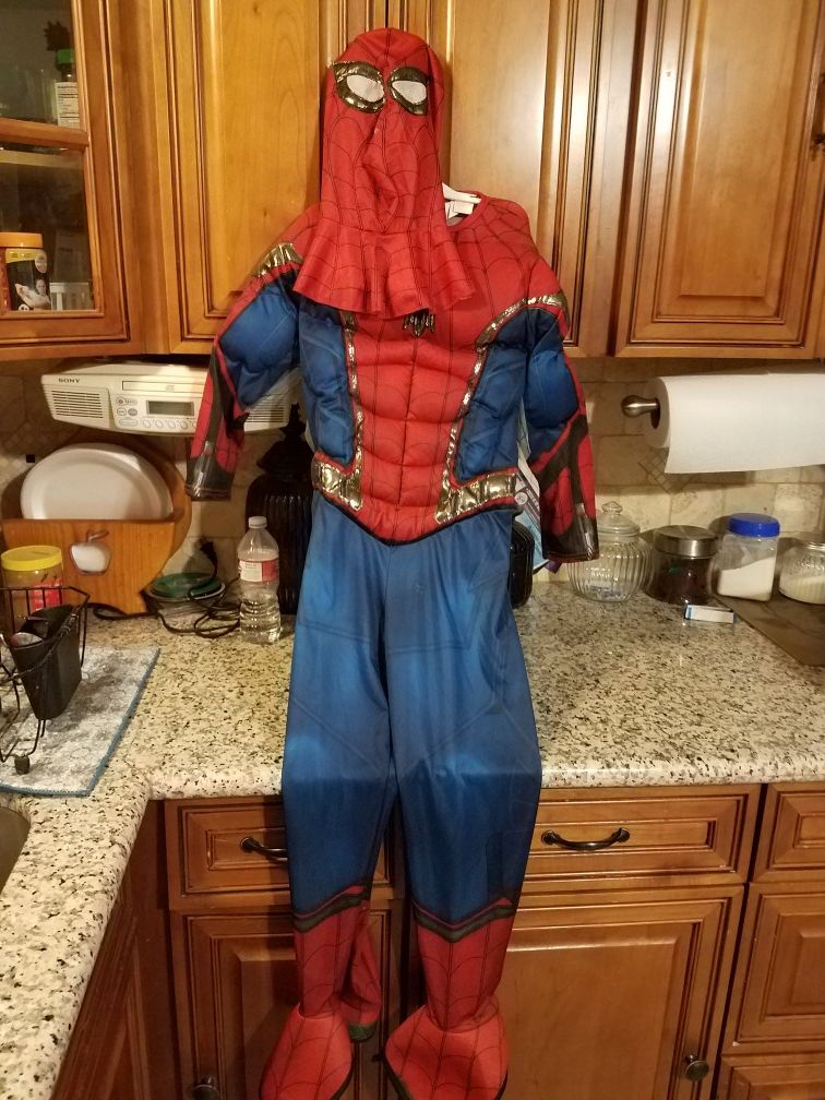 Spiderman Costume