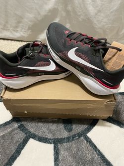 Nike Pegasus 41 “Bucs” 10 Men’s