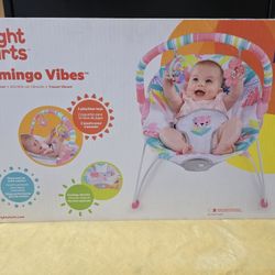 Vibrating Bouncer New