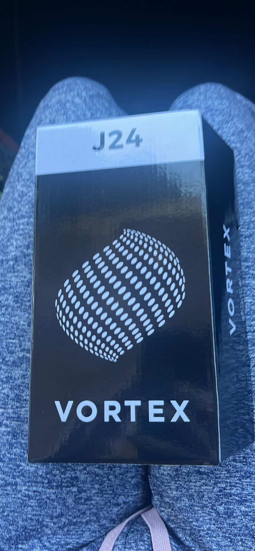 Government Phones