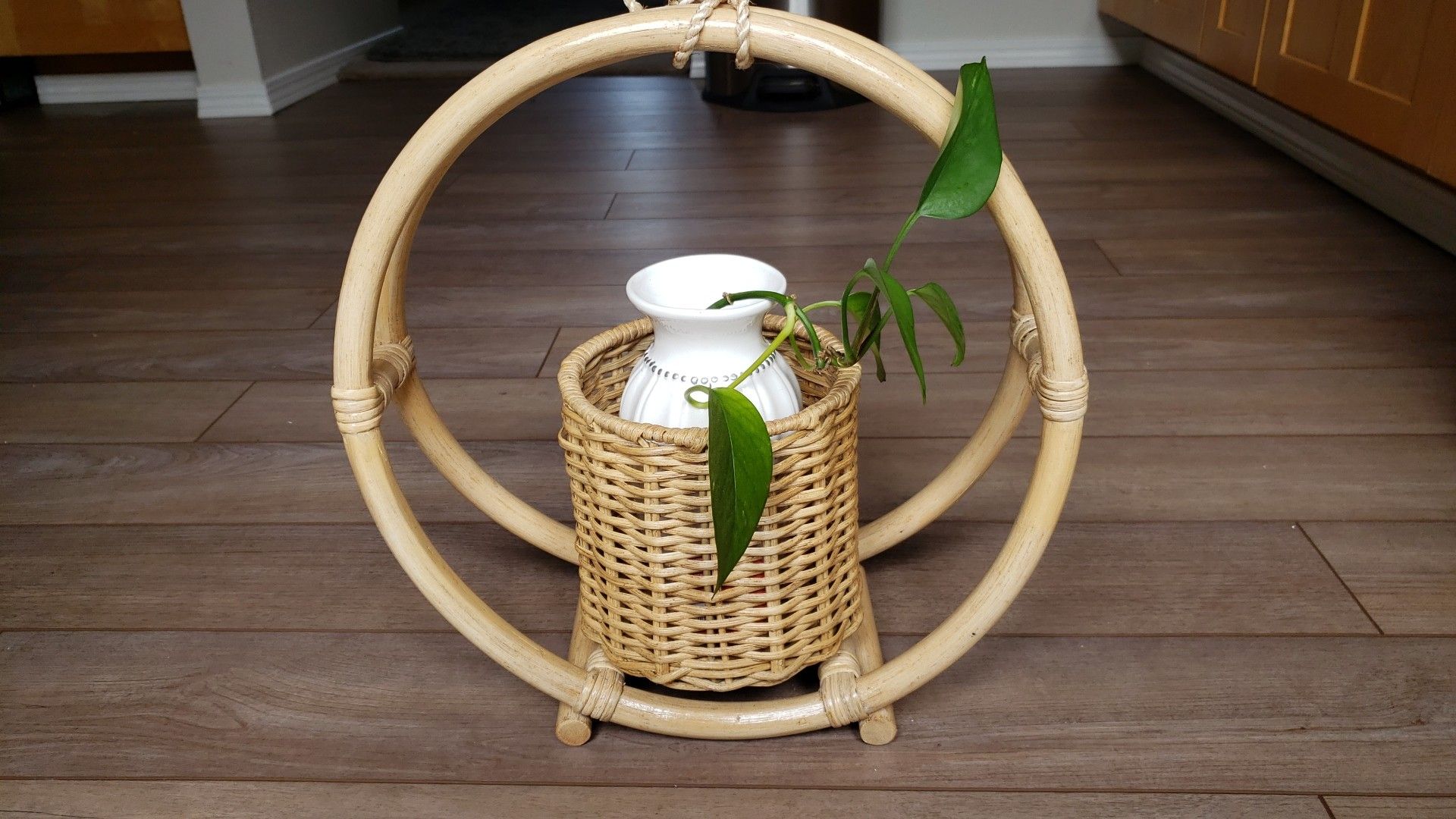 Rattan plan hanger