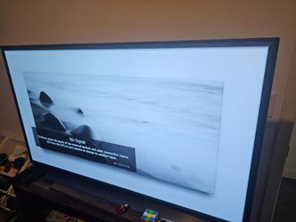 LG 55in oled tv