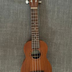 cordoba guitarra
