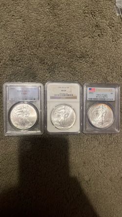 Silver eagles graded