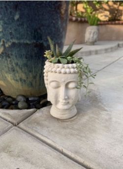 Planter head 40$