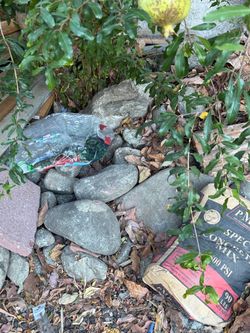 Rocks