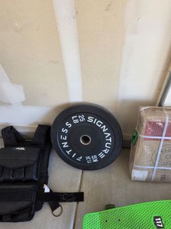 Two 25lb Weight Plates