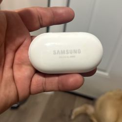 samsung earphones case only