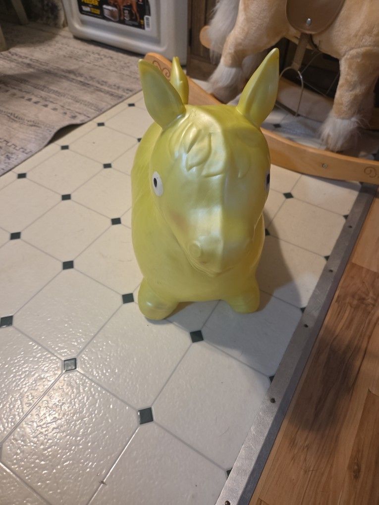 Adorable sit on donkey