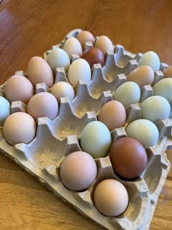 Fresh Farm Eggs
