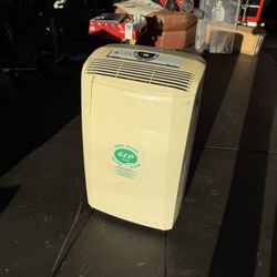 DeLonghi Pinguino Portable Plug In AC