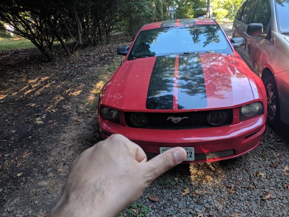 2007 Ford Mustang