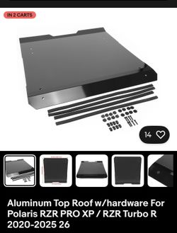 20-25 RZR Roof