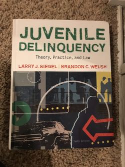 Juvenile delinquency book