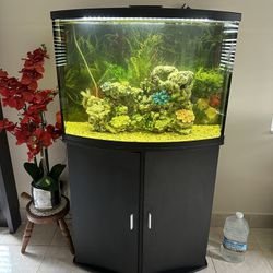 Fish Tank 36 Gallon Bow Front Tank And Stand 