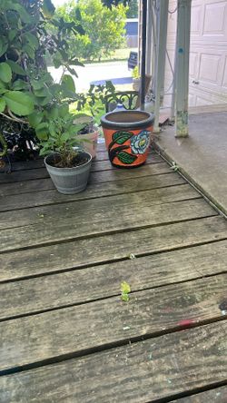 Terracotta Flower Pot $25