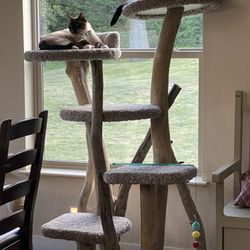 Cat tree