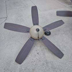 Ceiling fans WRemotes