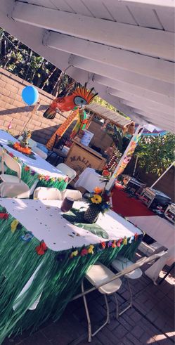 Hawaiian party aloha grass skirt