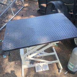 Grooming Table
