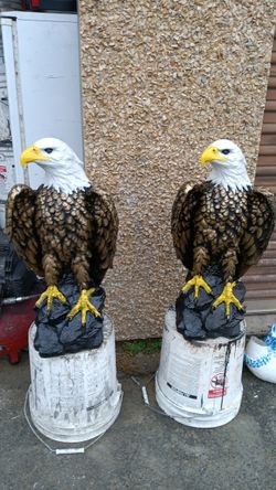 2 Eagles Concret 