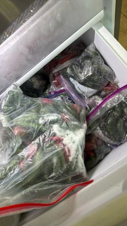 Frozen Serrano and jalapeño peppers
