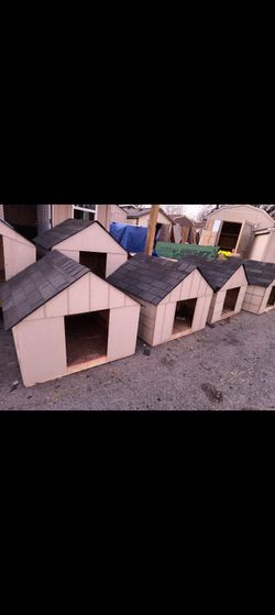 Dog houses 4ft x 4ft ready for pickup