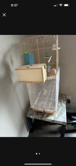Birds Cage and everything included