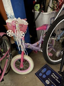 Princess Bike