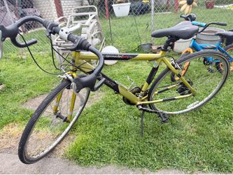 Adult bike