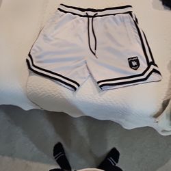 Men's Gym Shorts