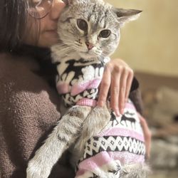 Winter Sweater For Dogs And Cats