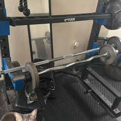 Straight Bar & Curl Bar