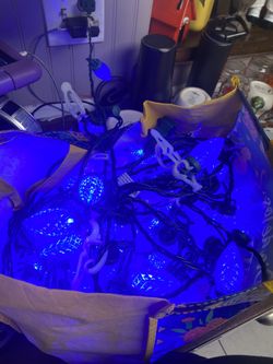 Christmas Lights
