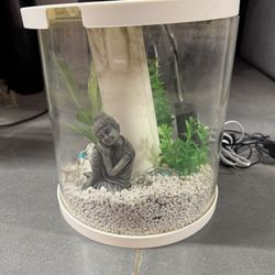 Beta Fish Tank 