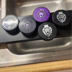 Official ECHL Hockey pucks
