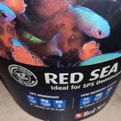 salt water aquarium supplies