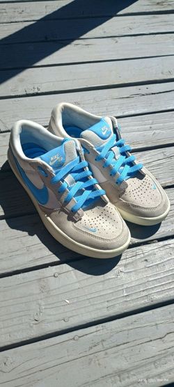 Nike Shoe SB force 58
