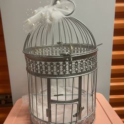 Decorative weeding cage $20