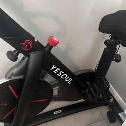 Yesoul bike