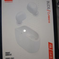 New JBL vibe Buds