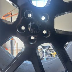 Rims ONLY for Sale