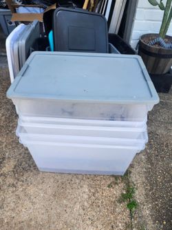 Storage bins with lids