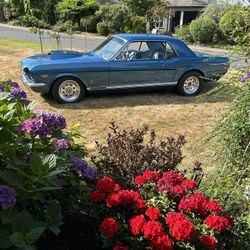 66 Ford Mustang GT
