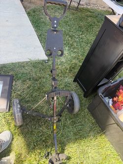 Golf clubs and cart $40