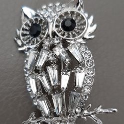 Various Owl Brooches with Crystals. $10. each