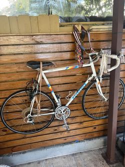 Racing Bike 80$ (chain Fell Off … Easy Fix)