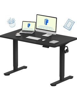 Flexispot standing desk