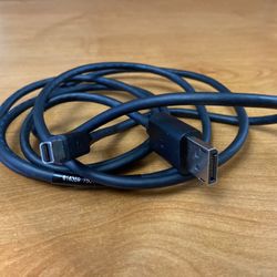 Mini To Regular DisplayPort Cable 5’. FIRM $6